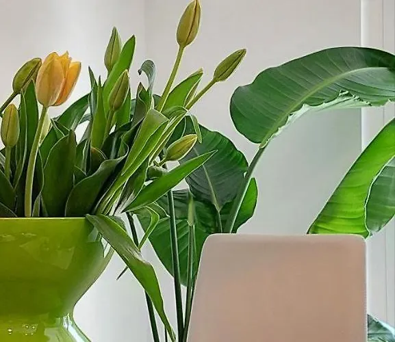 Interno 5 Διαμέρισμα